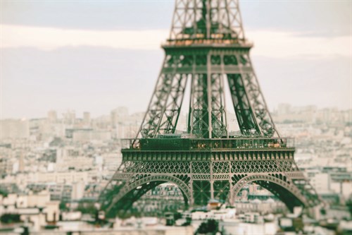 Eiffel Focus - Carina Okula