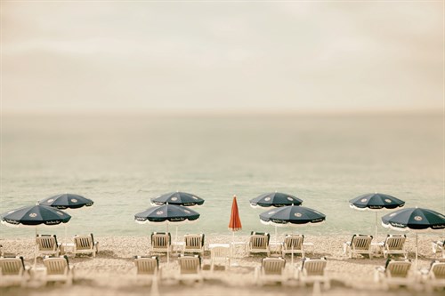 Sunshade Haven - Carina Okula