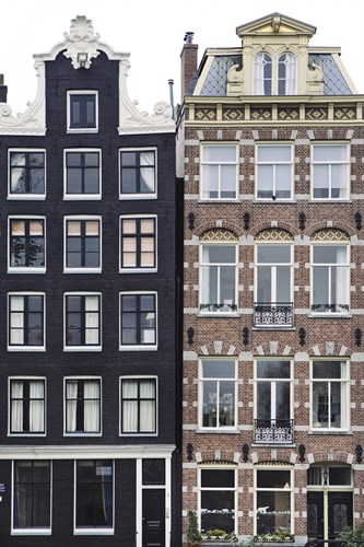 Dignified Dwellings - Irene Suchocki