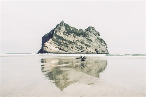 Beach Flight - Florian Schleinig