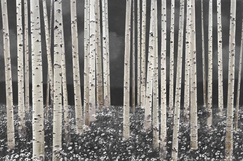 Birch Forest - Dusk - Midori Greyson