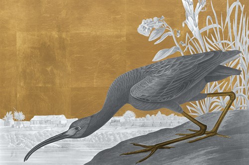 The Glossy Ibis - Luxe - Eccentric Accents