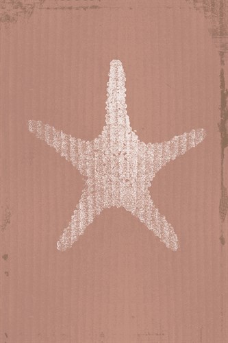Ocean Fade - Star - Ken Hurd