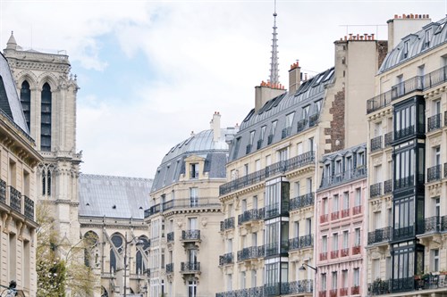 Parisian Edges - Carina Okula
