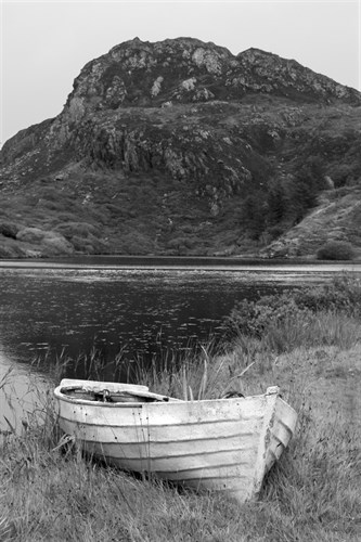 Marshy Mooring - Bill Philip