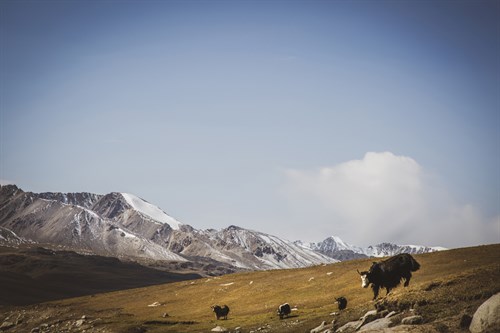 Glacial Elevation - Andrew Geiger