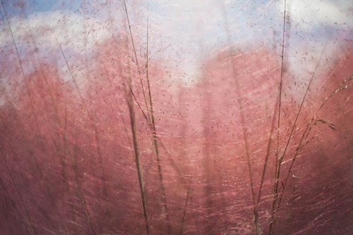 Abstract Melody - Sarah Hart Morgan