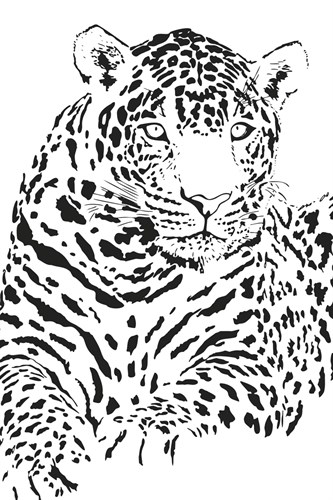 Bold Spots - Jaguar - Sasha Blake