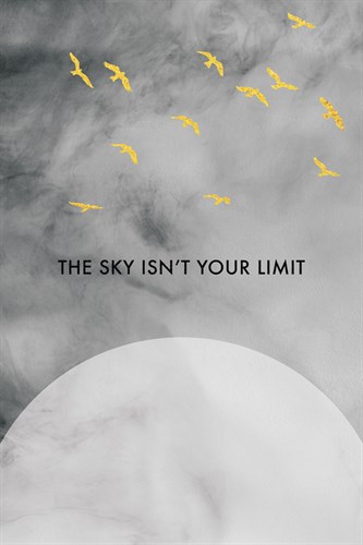The Sky Isn't Your Limit - Joni Whyte