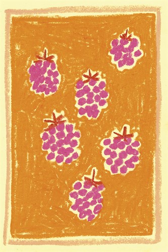 Naive Fruit - Raspberry - Joelle Wehkamp