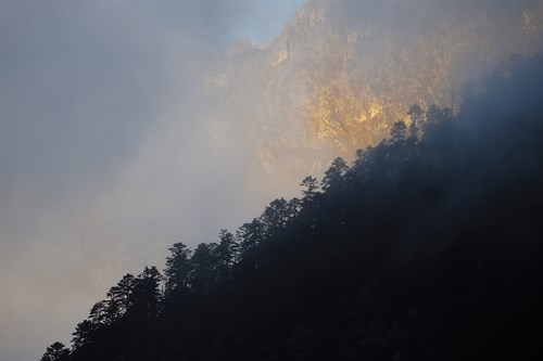 Sunshine Spotlight - Wild Wonders of China