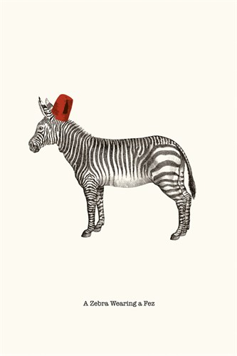 Zebra In A Fez - Gwen Aspall