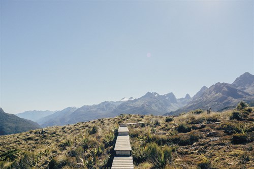 Prairie Path - Florian Schleinig