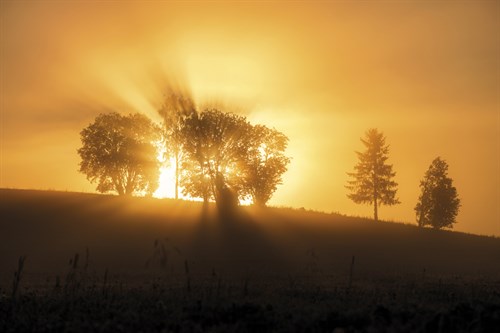 Sunset Crescendo - Andreas Stridsberg