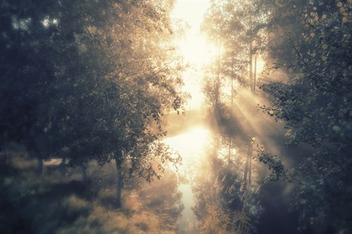 Divine Dawn - Andreas Stridsberg