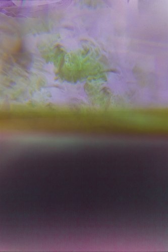 Abstract Nature - Tranquil - Sarah Hart Morgan