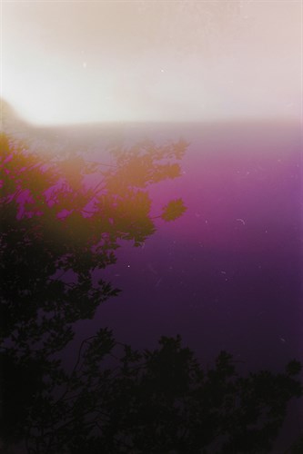 Abstract Nature - Hush - Sarah Hart Morgan