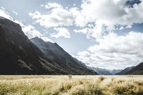 Prodigious Prairie - Florian Schleinig