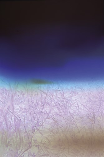 Abstract Nature - Serene - Sarah Hart Morgan