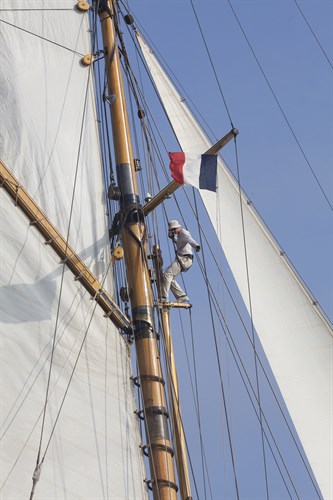 Focused Fleet - Tack - Ben Wood