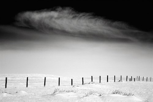 Fence Line - Jay Wesler