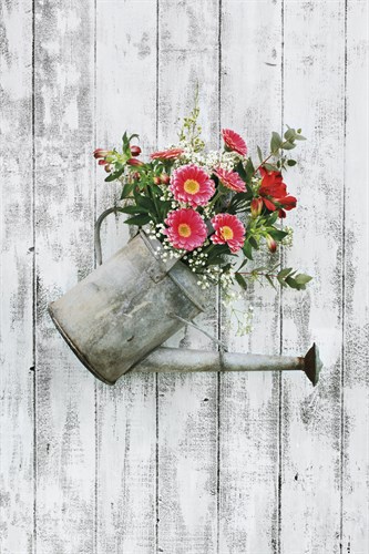 Rustic Planter - James Guilliam
