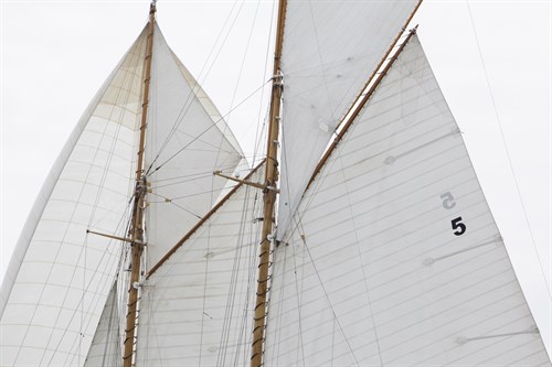 Sailing Focus - Run - Ben Wood