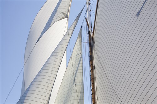 Sailing Focus - Cross - Ben Wood
