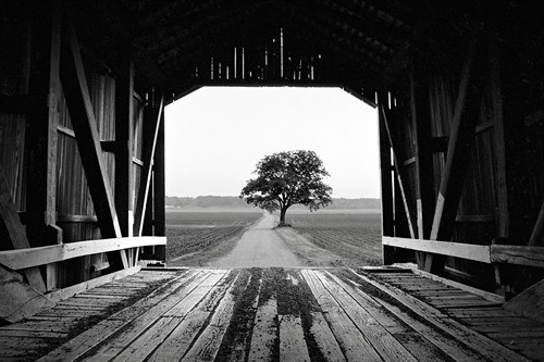 Mill Bridge - Jay Wesler