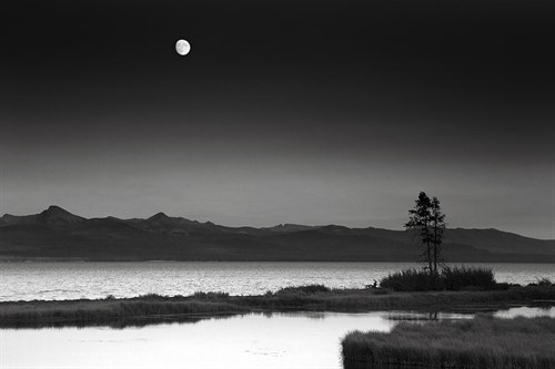 Moon Lake  - Jay Wesler