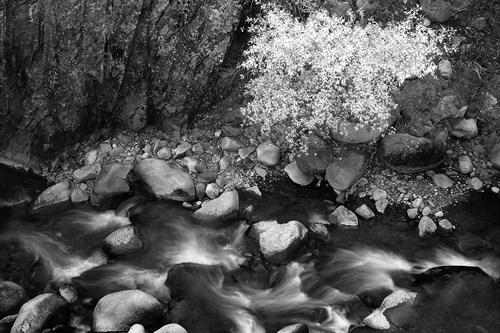 Bear Creek - Jay Wesler