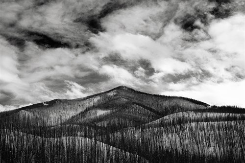Mill Creek - Jay Wesler