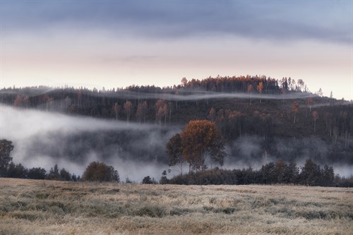 Beyond the Misty Veil - Andreas Stridsberg
