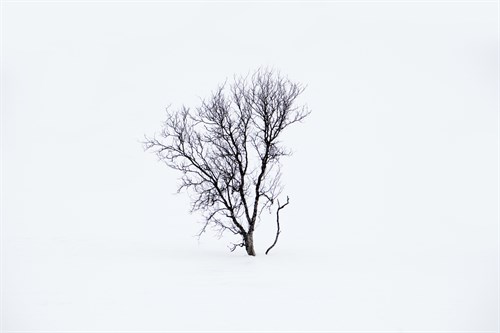 Ethereal Solitude - Andreas Stridsberg