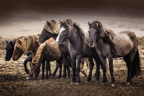 Round Up - Bobbie Goodrich