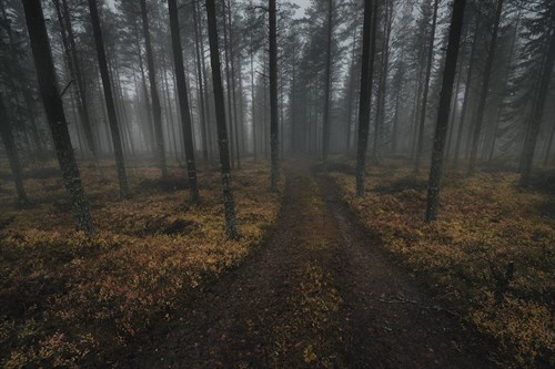 Journey Ahead - Andreas Stridsberg