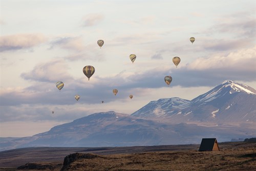 Balloon Vista - Irene Suchocki