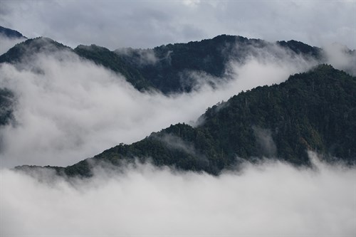 Misted Melodies - Wild Wonders of China