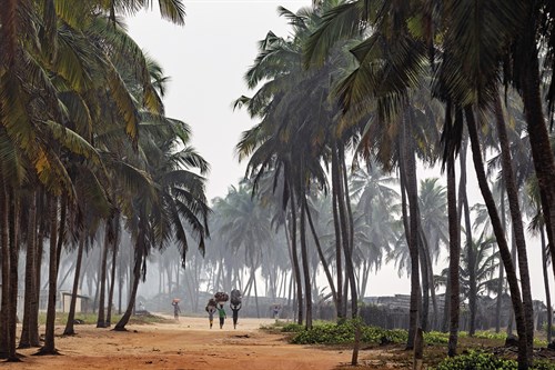 Grand Popo Beach - Path - Nigel Pavitt