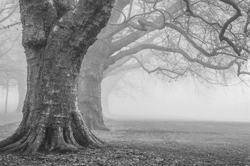 Distance - Alan Copson