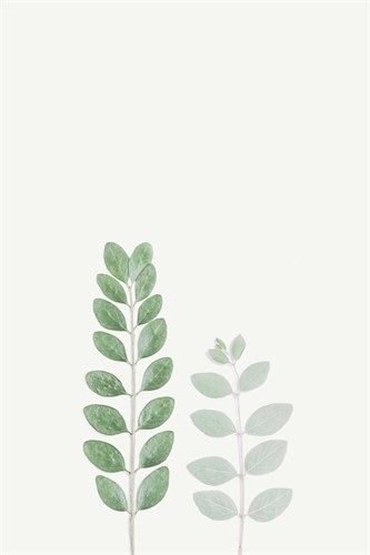Faded Fronds - Duet - Irene Suchocki