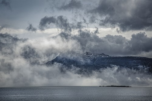 Arctic Abundance - Andrew Geiger