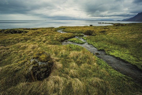 Luxuriant Landscape - Andrew Geiger