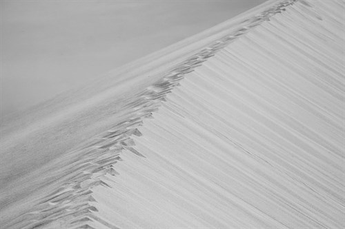 Deserted Walk - Paige Craig