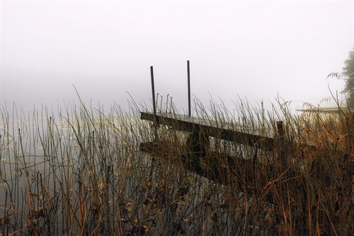 Jetty Wild - Andreas Stridsberg