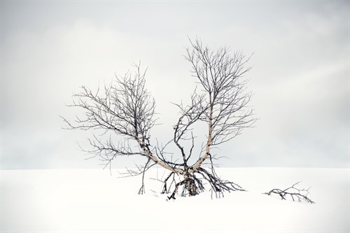 Suspended in Time - Andreas Stridsberg