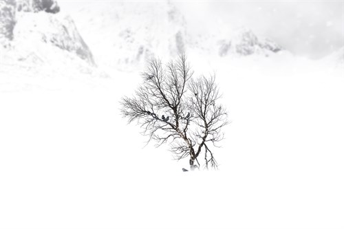 Winter Shelter - Andreas Stridsberg