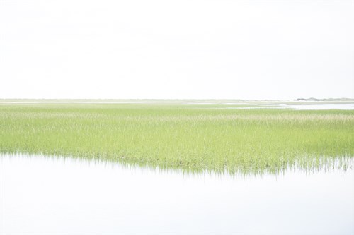 Province Lands - Gaetan Caron