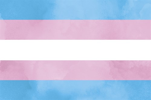Pride - Transgender - Tom Frazier