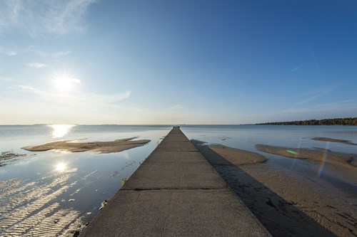 Towards the Horizon - Mike Toy